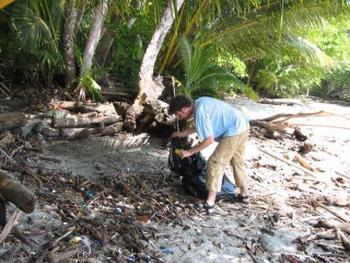Voluntariado de Ecología en Costa Rica