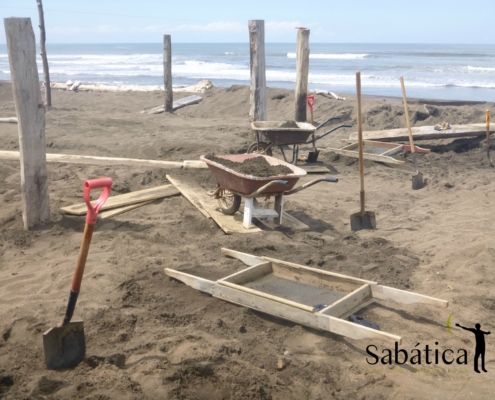 Voluntariado de Ecología en Costa Rica