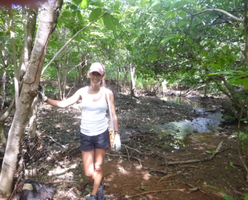 Voluntariado con Tortugas Marinas en Costa Rica