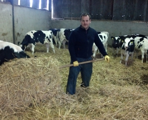 Prácticas remuneradas en granjas Irlanda