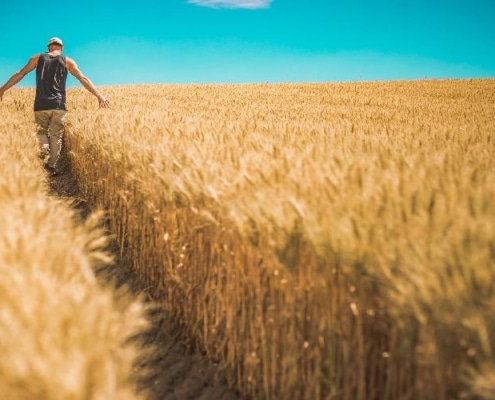 Prácticas de Agricultura- USA