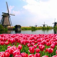 Prácticas remuneradas en Holanda