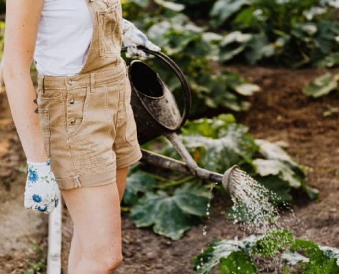 Prácticas Remuneradas Agrícolas y Horticultura en Suecia