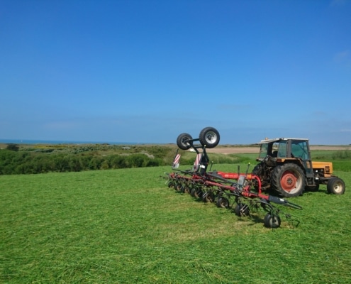 Prácticas Remuneradas de Agricultura en Francia